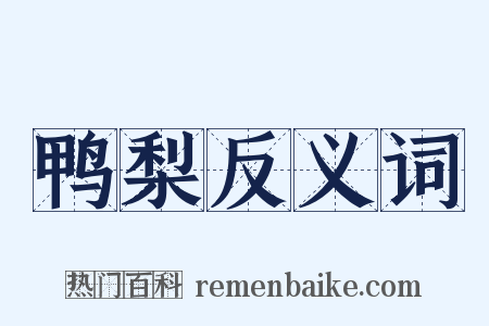 鸭梨反义词是什么意思的图片
